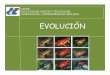 EVOLUCIÓNevolucionuader.yolasite.com/resources/Clases/Clases_Profesorado/5... · Las especies y su perpetuación en el tiempo. ... el aislamiento es, en general, el resultado de
