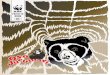 R Cabrera Cabrera, Samuel La Madrid WWF Boliviaawsassets.panda.org/downloads/10_el_oso_jucumari___oso_de_anteojos.pdf · El Oso Jucumari u oso andino es también conocido como “oso