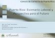 Puerto Rico: Escenario Laboral y Perspectiva para el Futuro · Comisión de Trabajo, Asuntos del Veterano y Recursos Humanos Cámara de Comercio de Puerto Rico ... Foros o conferencias