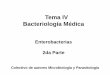 Tema IV Bacteriología Médica - uvsfajardo.sld.cuuvsfajardo.sld.cu/sites/.../files/iii_enterobacterias-_2da_parte.pdf · Yersinia pseudotuberculosis Agente causal de la Adenitis