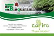 Presentación de PowerPoint - bioquirama.com · Cultivo del crisantemo en Antioquia ... Phoma, etc. y agotamiento del suelo La desinfección con ... Los anteriores son productos cuyo