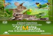 d Sel d Animal - FMVZ-UNAM::papimes.fmvz.unam.mx/proyectos/manuales_nutricion/PTSAnimales... · El aportar una nutrición adecuada a los animales de compañía favorece no solo su