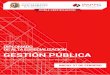 DIPLOMADO DE ALTA ESPECIALIZACIÓN GESTIÓN PÚBLICA …ipappg.edu.pe/2017-01/pdf/gestion.pdf · El participante podrá descargar las diapositivas de cada una de las ... Bolivia,