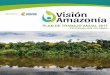 PROGRAMA REM COLOMBIA - …visionamazonia.minambiente.gov.co/content/uploads/2018/04/PLAN-DE... · GEI Gases de Efecto Invernadero ... PAAP Proyecto de Apoyo a Alianzas Productivas