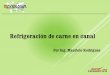 Refrigeración de carne en canal - agriculturayganaderia.com · Carne de cerdo (kg/hab) Pescado (kg/hab) 1. Introducción…. Abatimiento reses año en Colombia 3´724,319 Abatimiento