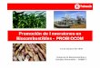 Promoción de Inversiones en Biocombustibles - PROBIOCOMintranet2.minem.gob.pe/web/archivos/ogp/GVEP/cober/10.pdfProyecto Chinecas (20,000 has). 7. Pasto Grande – Moquegua (20,000