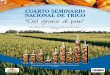 CUARTO SEMINARIO NACIONAL DE TRIGO “Del grano al pan”capeco.org.py/.../uploads/2017/09/Capeco-4to-seminario-trigo-1.pdf · Entre los próximos pasos a seguir, cabe la conversión