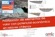 Dr. Manuel A. Caraballo - Alta Ley – Programa Nacional ...programaaltaley.cl/wp-content/uploads/2017/08/Manuel-Caraballo.pdf · caracterización y recuperación de minerales/elementos