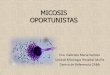 MICOSIS OPORTUNISTAS - microred.files.wordpress.com · Hialohifomicosis Pigmentados tabicados ... Factor predisponente ... Factores de virulencia Más estudiados •Cápsula