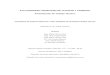 XVII CONGRESO ARGENTINO DE VIALIDAD Y TRANSITO ...congresodevialidad.org.ar/TRA/TRA-144.pdf · Si la mejor solución para el diseño geométrico de una intersección es el resultado