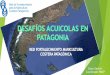 César Gentile Coordinador RMCP - Bioeconomía Argentina · senasa 445-15 manual renspa ... financiera (ostra – mejillÓn) articulaciÓn con especialistas en maricultura, para generar