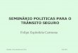 Felipe Espíndola Carmona - senado.gov.br · pilotar motocicletas para dinamizar o transporte de pequenas cargas e para a realização de pequenas tarefas externas, porque, ... A