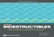 Indestructibles: Construyendo la resiliencia de los más ... · Construyendo la resiliencia de los más pobres frente a desastres naturales Stephane Hallegatte Adrien Vogt-Schilb