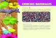 CIENCIAS NATURALES - s00d81c33f4e9a78a.jimcontent.com · factores bióticos tales como plantas, animales, bacterias, protozoos y hongos y los factores abióticos: como ... plantación