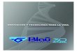 25515 16AF10-Folheto institucional espanhol 225x305 · Blau Farmacéutica actualmente es una de las principales empresas farmacéuticas de América Latina, produciendo medicamentos