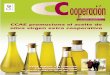 CCAE promociona el aceite de oliva virgen extra cooperativoagro-alimentarias.coop/ficheros/doc/02049.pdf · El sector del Huevo encara su futuro ... India y otros países emergentes,