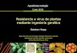 Resistencia a virus de plantas mediante ingeniería genética Resistencia a... · Resistencia a virus de plantas mediante ingeniería genética Esteban Hopp . Impacto económico de
