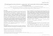 Prolongamento tímico superior simulando linfonodomegalia ...apps.einstein.br/revista/arquivos/PDF/999-Einstein v7n3p365-8_port.pdf · einstein. 2009; 7(3 Pt 1):365-8 Prolongamento