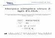 Herpes simplex virus 2 IgG ELISA - ibl-international.com · VHS-1 se encuentra en la área craneal, el VHS-2 sobre todo en la área genital. Los virus causan una infección febril