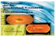 AÑO 2001 Número 12 - sociedadcanariadeoftalmologia.comsociedadcanariadeoftalmologia.com/wp-content/revista/revista-12/Re... · Endoscopia de las vías lagrimales: una nueva técnica