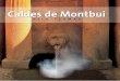 Caldes de Montbui - VISITEU CALDES / MUSEU THERMALIA · què trobarem les antigues Termes Romanes, la simbòlica Font del Lleó, els safareigs que recullen l’aigua termal, l’