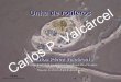 Carlos Pérez Valcárcel - cpvalcarcel.files.wordpress.com · pero as súas novas características adaptativas lles permiten unha elevada ... larvas de insectos e vermes, ... segmentados