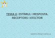TEMA 6: ESTÍMUL I RESPOSTA. RECEPTORS I EFECTOR 6- estimul i resposta(1).pdf · receptors del so, cèl·lules ciliades detecten el moviment o vibració de l ... TEMA 6: ESTÍMUL