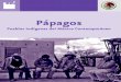 Pápagos - Comisión Nacional para el Desarrollo de los ... · patios con cercas de cactos. El territorio pápago se ubica en el desierto sonorense, y comprende, en-tre otros, el