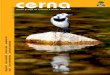41755 CERNA 53 - adega.galadega.gal/info/090121joomla/files/revista CERNA/CERNA 53.pdf · revista galega de ecoloxía e medio ambiente cerna . cerna 33 cerna Telf. e Fax. 981 570