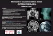 Tècniques de diagnòstic per la imatge i Anatomia radiològica RX 2017.pdf · • Anatomia radiològica de la cintura escapular i del membre superior • Anatomia radiològica del