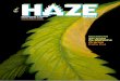 W>HA>H7 MS7 @7 7>MKH7 UbGUM^ · 63/2da copa da maconha por ... Revista Haze Brasil é publicada cada 45 dias e é propriedade da Big Plant S.A. e seu objetivo ... “Uma boa limpeza