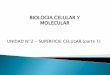 BIOLOGIA CELULAR Y MOLECULARecaths1.s3.amazonaws.com/geneticafacen/1464264056.Superficie... · BOMBAS IONICAS Bomba de Ca++ (ATPasa ) señalización celular Concentración de calcio
