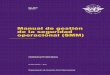 Manual de gestión de la seguridad operacional (SMM)°_Ed_.pdf · Apéndice 4 del Capítulo 4. Indicadores de rendimiento en materia de seguridad operacional del SSP ... en un entorno