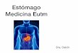Estómago Medicina Eutm · • Órgano hueco, peritonizado, perteneciente al sistema digestivo • Dilatación tubo digestivo • Digestión alimentos • Transporte alimentos desde
