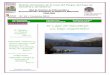 El Lago de Sanabria: un lago oligotróficoun lago oligotrófico · Boletín electrónico de la Casa del Parque del Lago de ... 0,028 - ... roseta de largas hojas elípticas. Esta