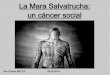 La Mara Salvatrucha: un cáncer socialfahe.net/sp/wg_2/20140526_praesentation_can.pdf · 3 Origen e informaciones generales de la pandilla se encuentran en el Norte de América y