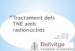Oriol Puig Sant Josep 2015 Hospital de Bellvitge joint IAEA, EANM, and SNMMI oractical guidance on peptide receptor radionuclide therapy (PRRNT) in neuroendocrine tumours. J. J. Zaknum