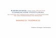 MARCO TEÓRICO - inde.com · EJERCICIOS PARA UNA BUENA CONDICIN POSTURAL Marco Teórico LOS PROBLEMAS POSTURALES DEL RAQUIS 1. ONTOGÉNESIS RAQUÍDEA Kapandji (1998) establece en
