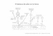 El balance de calor en la tierra - DCAO/FCEN - UBAoceanografia-gral-fis.at.fcen.uba.ar/05_BalanceCalor_Masa.pdf · Oceanografía General /Oceanografía Física I – 2011 – 5. Balance