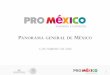 PANORAMA GENERAL DE MÉXICO - iploca.com · Partes y accesorios de vehículos Teléfonos y equipos 4.7% de comunicación Vehículos de transporte .6% Computadoras y partes 4.6% 
