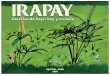 Cosechando hojas hoy y mañana - inkanat.org · El irapay es un recurso muy importante para la economía familiar de todas las comunidades de la cuenca del río Nanay. Con las hojas