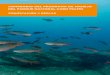 COMPENDIO DEL PROGRAMA DE MANEJO DEL PARQUE …niparaja.org/file/2015/06/Compendio-Cabo-Pulmo-Oct-19-2017-RGB... · Limite del PN Cabo Pulmo Arrecife Coralino. Acuacultura Anclaje