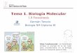 Tema 1. Biología Molecular - dpbiologia.weebly.comdpbiologia.weebly.com/uploads/2/1/5/5/21553524/gtp_t1._biología... · que absorben por los pigmentos, para transformarlas en sustancias