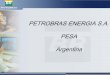 PETROBRAS ENERGIA S.A. PESA Argentina - PROMINPantigoprominp.petrobras.com.br/objects/files/2006-10/1408... · PESA -Introducción ¾Petrobras Energía S.A. es una compañía integrada