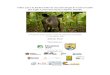 Taller para la Elaboración de una Estrategia de ...s Tapir... · • Identificar alternativas económicas actuales para la comunidad que coexiste con el tapir e incorporarlos en
