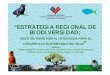Estrategia regional de Biodiversidad.CONAMA ESTRATEGICOS 1. Conservación y restauración de ecosistemas (CONAMA- BBNN- CONAF) 2. Preservación de especies y del Patrimonio Genético