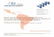 Brasil “Avances y lecciones aprendidas: la Ventanilla ... · 2. Secretaria de Aviação Civil (política de transporte aéreo civil) 3. Secretaria de Aviação Civil / Infraero