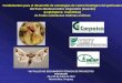 Presentación de PowerPoint - fontagro.org · Fundamentos para el desarrollo de estrategias de control biológico del perforador del fruto Neoleucinodes elegantalis (Guenée) (Lepidoptera: