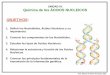 UNIDAD III: Química de los ÁCIDOS NUCLEICOS OBJETIVOS · Prof. Alfonso R. Bravo Henríquez. 2010. UNIDAD III: Química de los NUCLEÓTIDOS Y ÁCIDOS NUCLEICOS Cada nucleótido esta