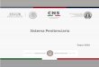 Presentación de PowerPoint - Secretariado Ejecutivo · Mexicanos, así como atendiendo al Plan Nacional de Desarrollo, del Programa Nacional de Seguridad Pública, Programa Sectorial